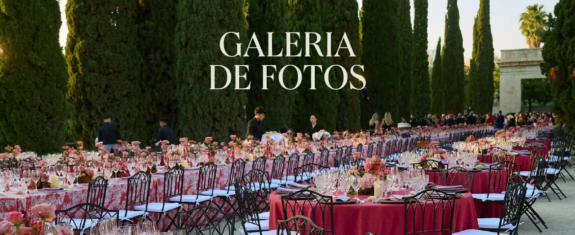 GALERÍA DE FOTOS_TENDENCIASXIV2025